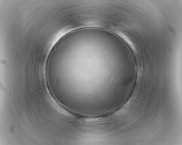 X0000091231291200708091411