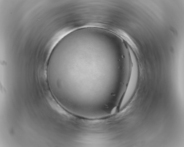 X0000091231292200708091411