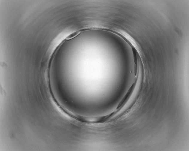 X0000091231293200708091411
