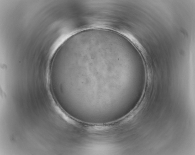 X0000091231294200708091411