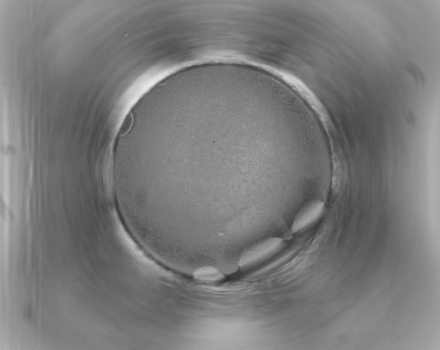 X0000091231295200708091411