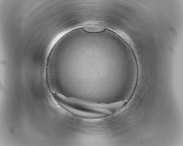X0000091231296200708091411
