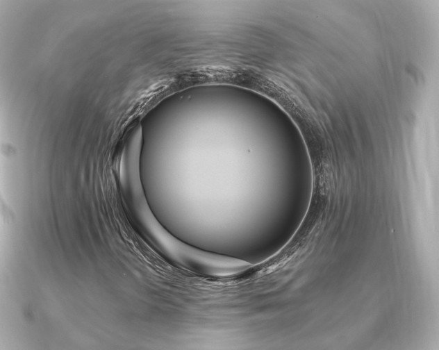 X0000091231298200708091410