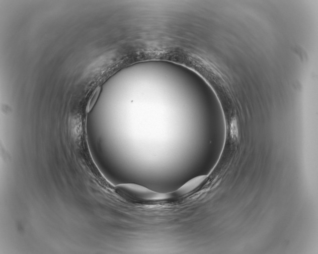 X0000091231299200708091410
