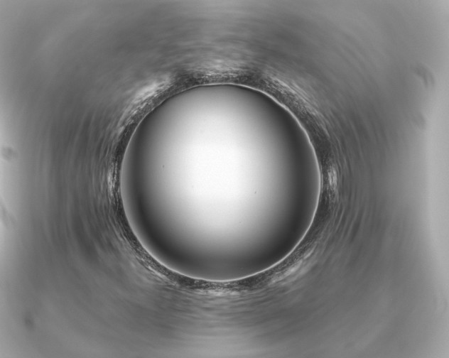 X0000091231300200708091410