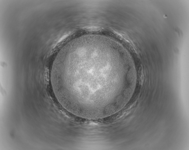 X0000091231301200708091410