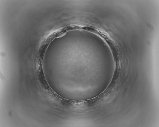 X0000091231303200708091410