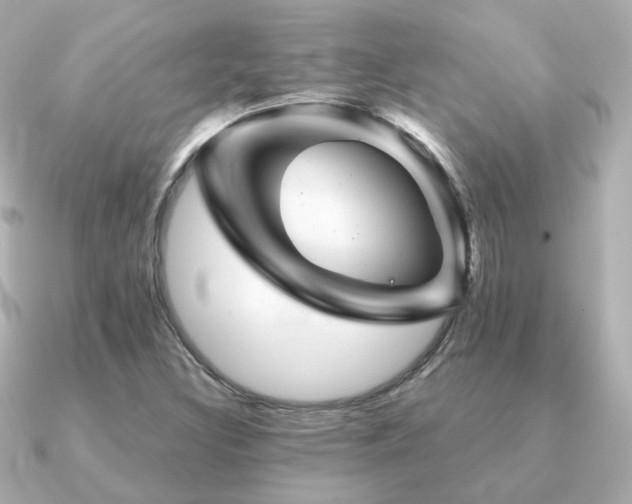 X0000091231308200708091410