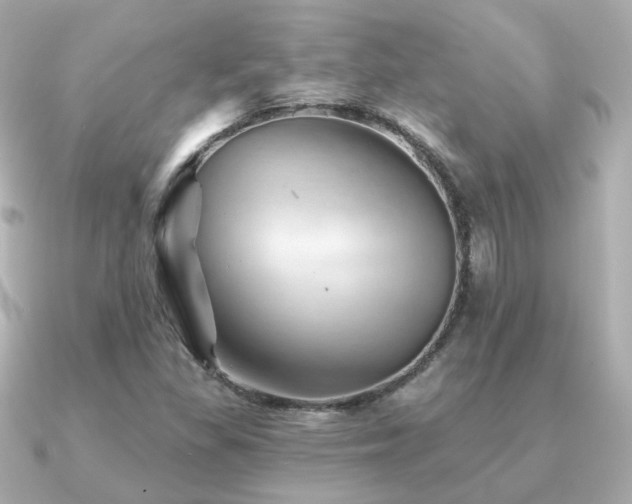 X0000091231309200708091410