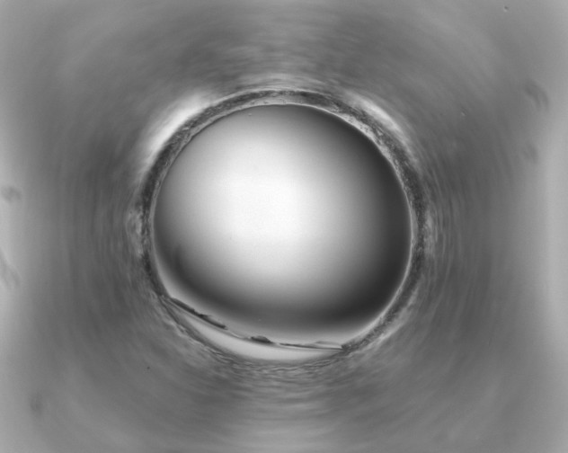 X0000091231310200708091410