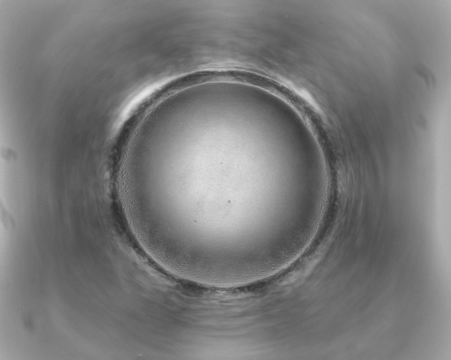X0000091231311200708091410