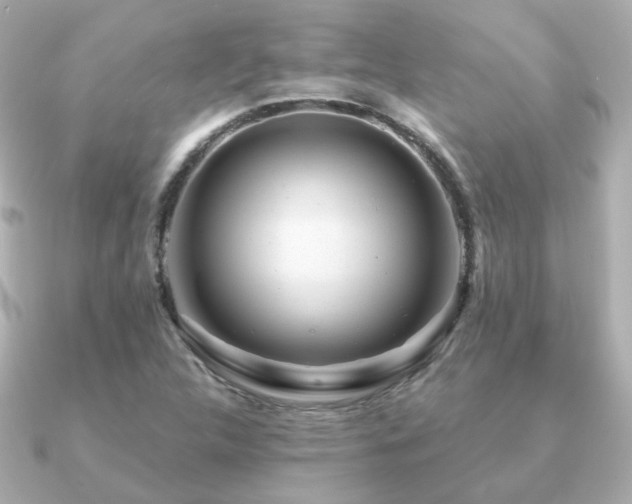 X0000091231312200708091410