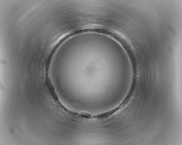 X0000091231313200708091410