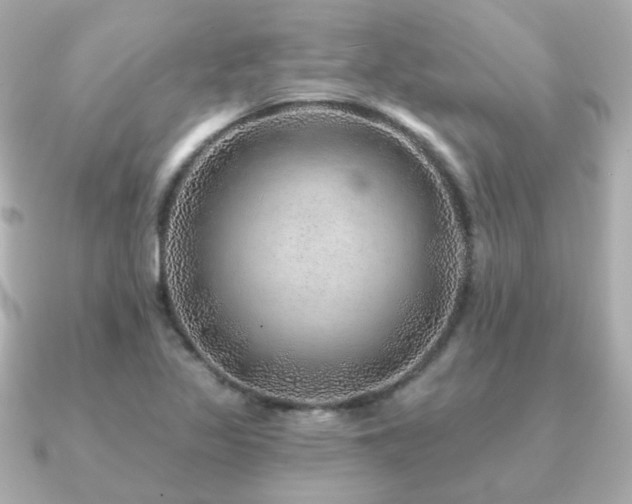 X0000091231317200708091411