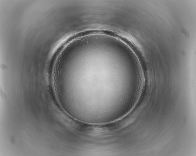 X0000091231318200708091411