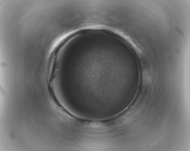 X0000091231319200708091411