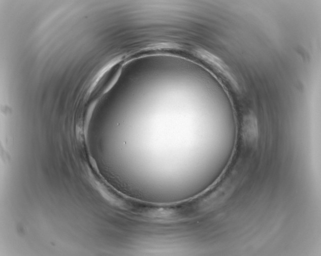 X0000091231321200708091411