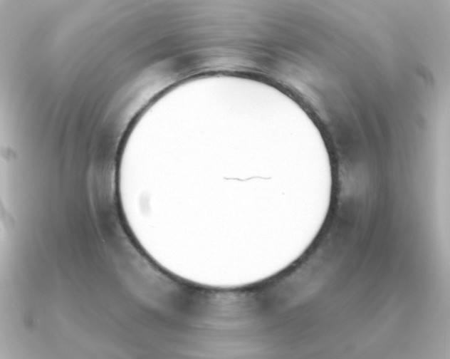 X0000091231322200708091411