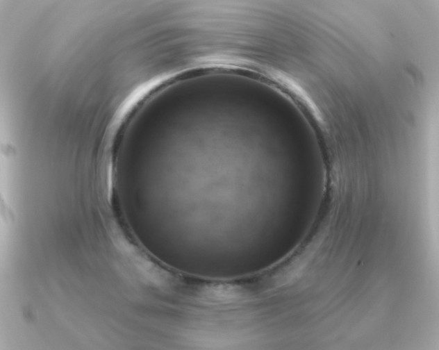X0000091231323200708091411