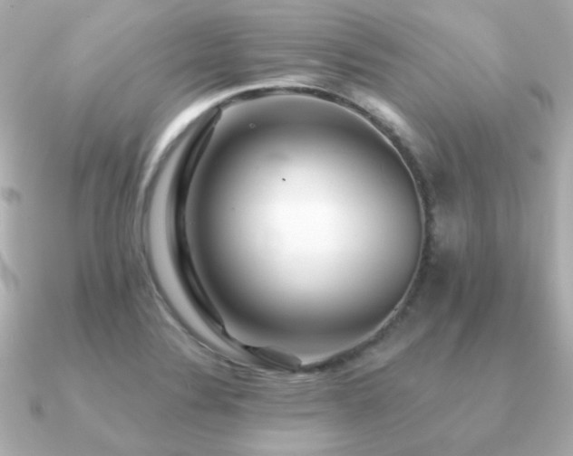 X0000091231324200708091411