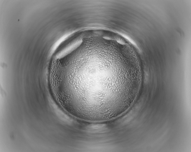 X0000091231325200708091411