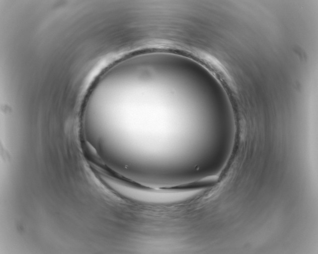 X0000091231326200708091411