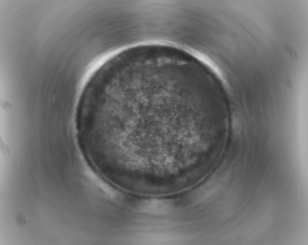 X0000091231327200708091411
