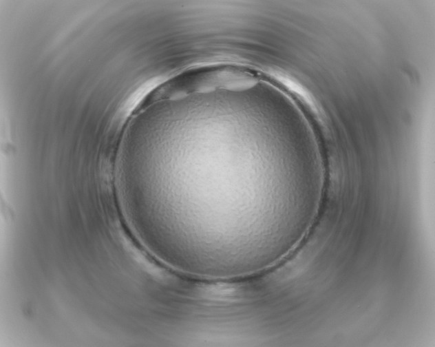 X0000091231329200708091411