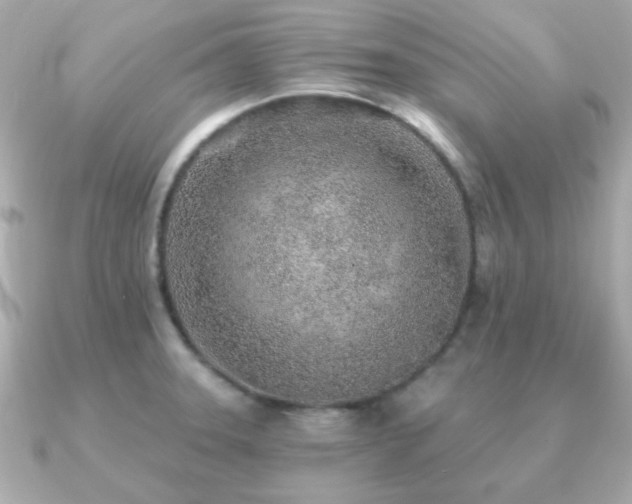 X0000091231331200708091411