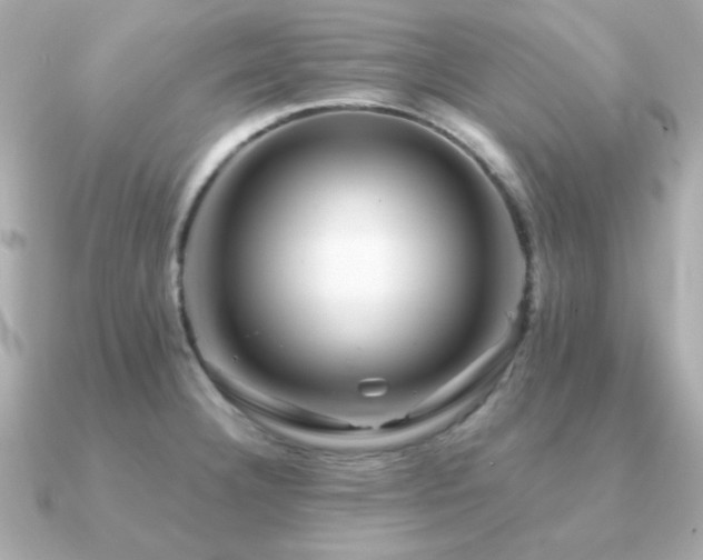 X0000091231332200708091411