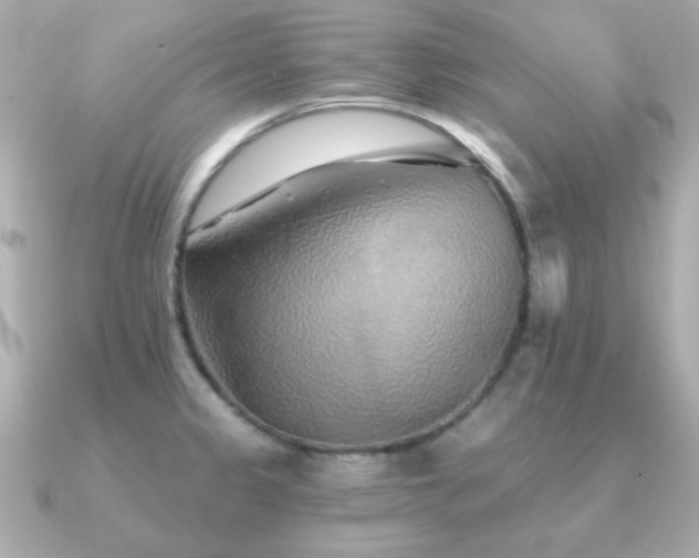 X0000091231333200708091411