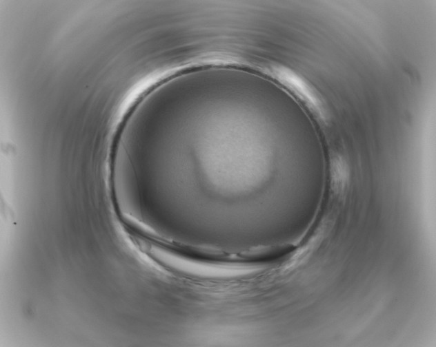 X0000091231334200708091411