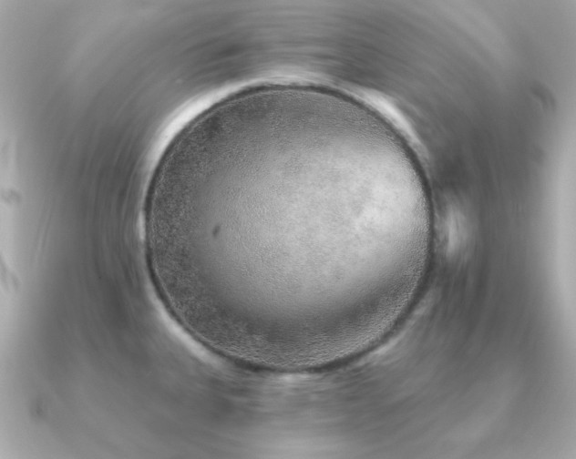 X0000091231335200708091411