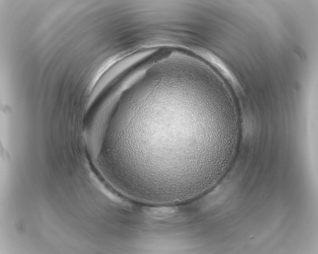 X0000091231337200708091411