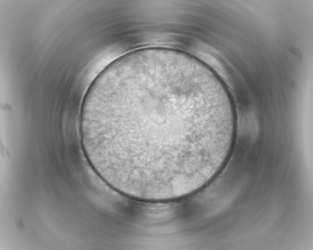 X0000091231338200708091411