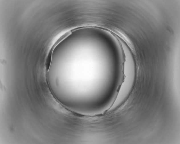 X0000091231340200708091411