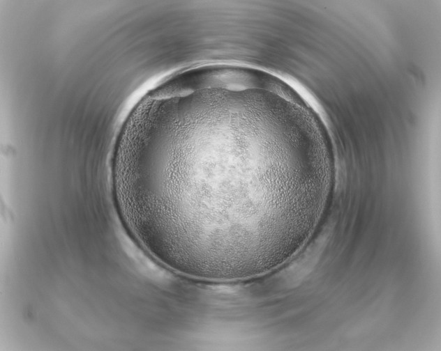 X0000091231341200708091411