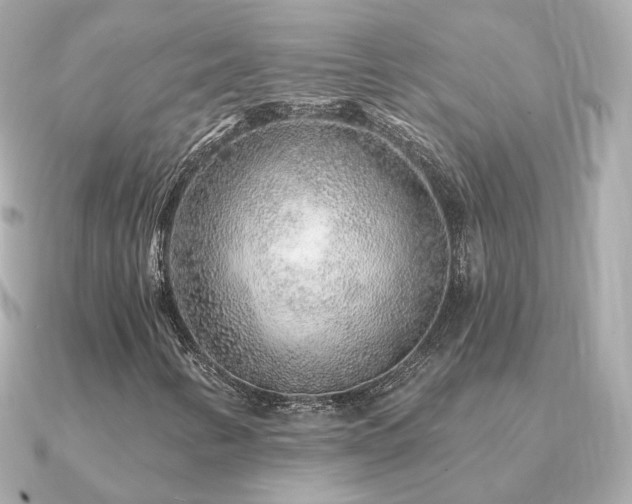 X0000091231346200708091410