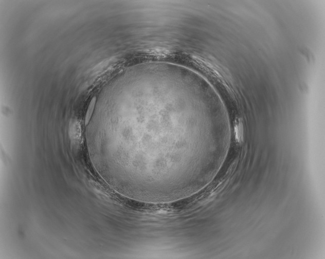 X0000091231347200708091410