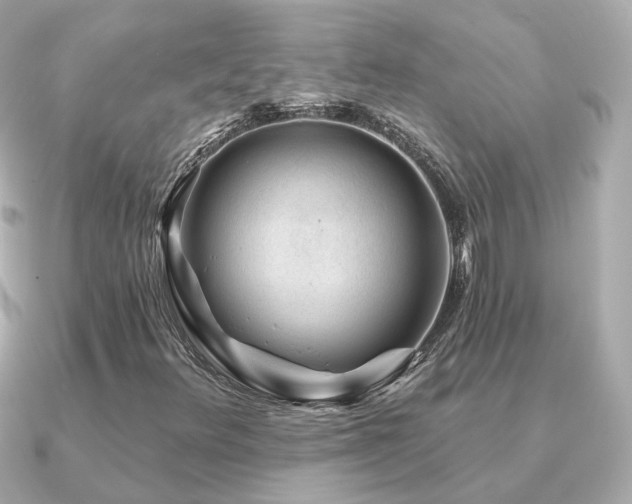 X0000091231348200708091410