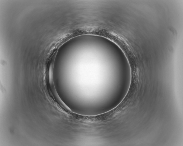 X0000091231349200708091410