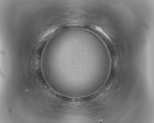X0000091231350200708091410