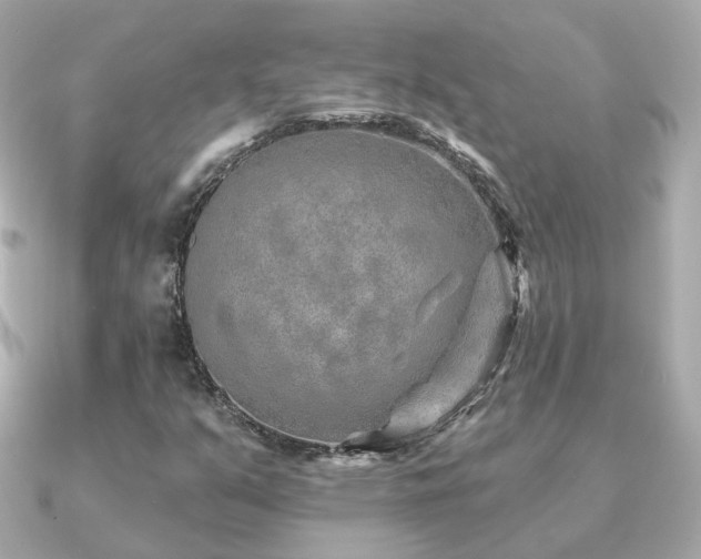 X0000091231351200708091410