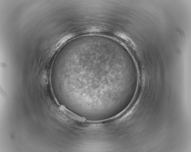 X0000091231353200708091410