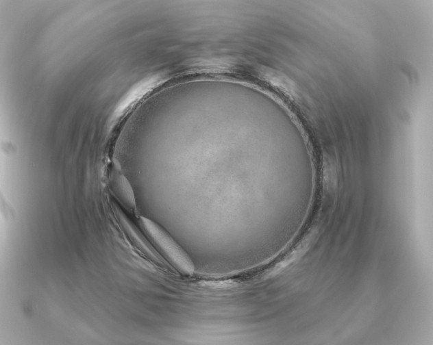 X0000091231354200708091410