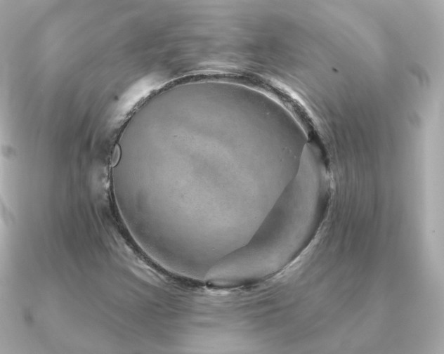 X0000091231355200708091410