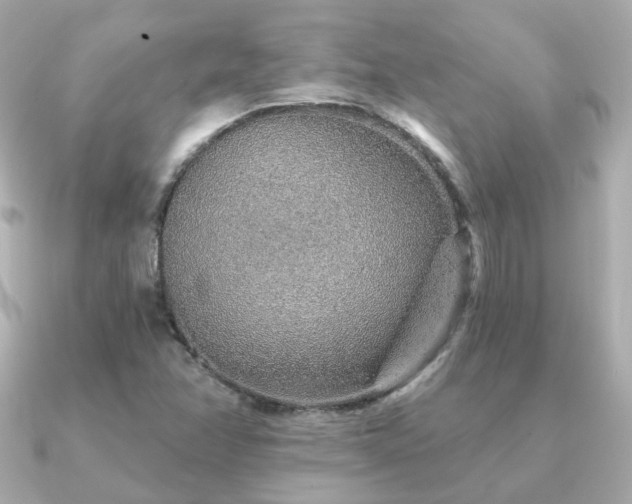 X0000091231358200708091410