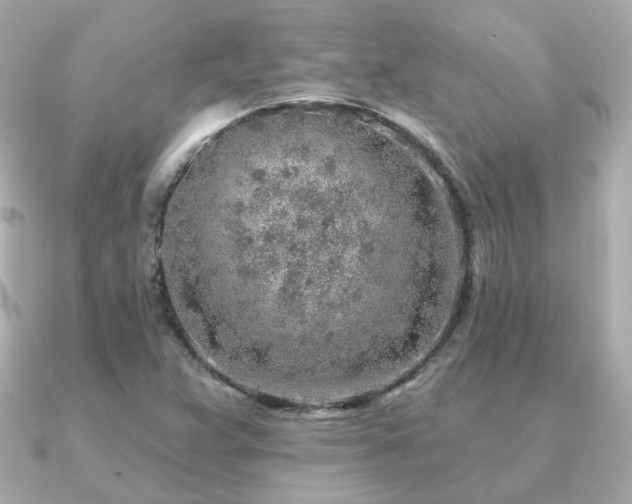X0000091231359200708091410