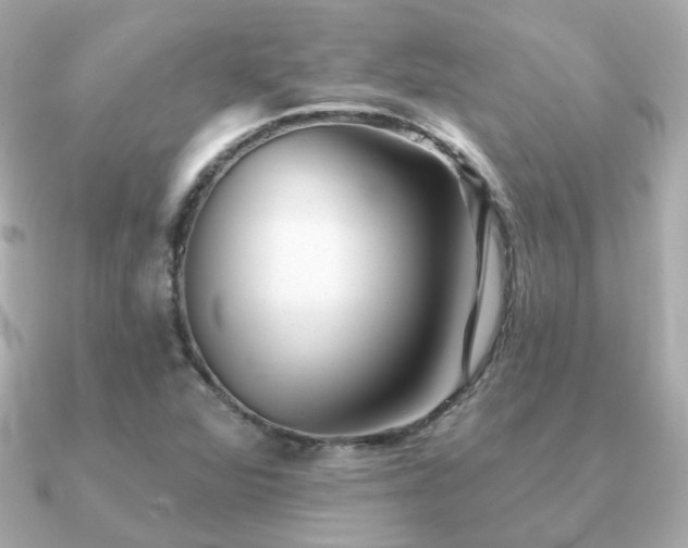 X0000091231360200708091410