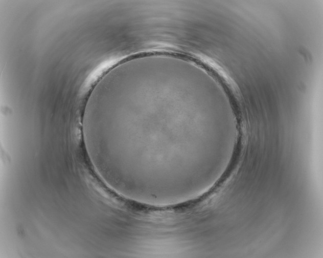 X0000091231363200708091410